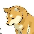 Aki