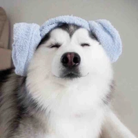 Tác giả :>