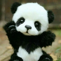 Tg Panda