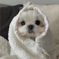 Yn