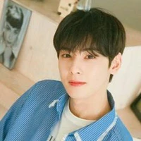 Cha Eun Woo ( anh Y )