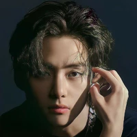 Kim Taehyung [ Anh - V ]