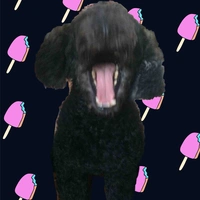 Diễn viên quần chúng