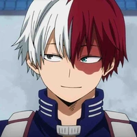 Shoto Todoroki