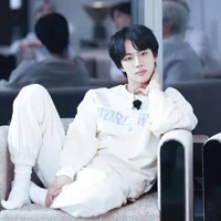 Seokjin [석진]