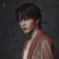 Lưu Diệu Văn(anh)
