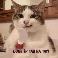 Bình luận: nam thần là của tui!,
