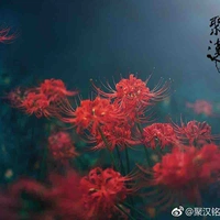 Người bí ẩn( Boss)