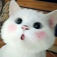 tác giả