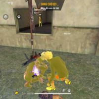 Tg