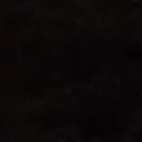 Nvp: người hầu