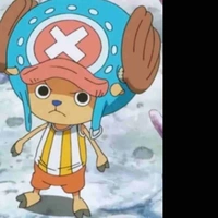 chopper