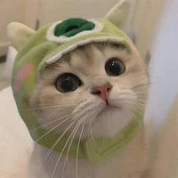 nhỏ tác giả