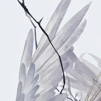 chưa biết