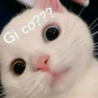 Phú