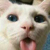 Mẹ