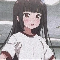 Y/N