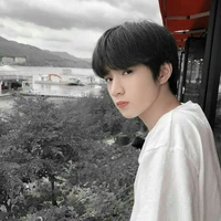 Lưu Diệu Văn