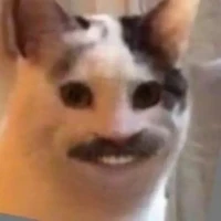 cả đám