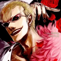 Dflamingo