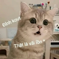 Tác Giả rất chi là chăm chỉ