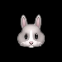 𝙕𝙞𝙞𝙣🐰