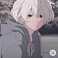 L/n Y/n