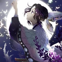 cochou shinobu(ny mitsuri)