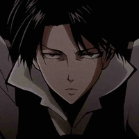 Levi 
