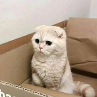 Tg: Muội