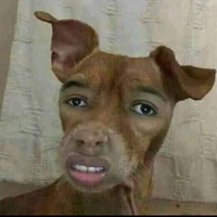 Team yêu động vật