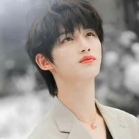 Đinh Trình Hâm(cậu)