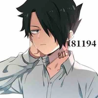 Ray-81194