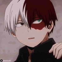Todoroki shoto 