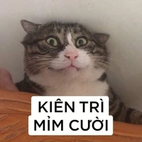 tác giả