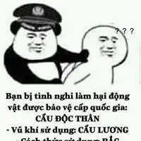 Tác giả