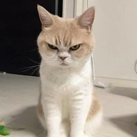 tác giả