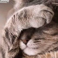 Quần chúng bị TG cắt tên