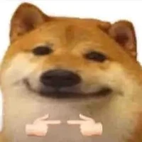 Tác Giả ngáo chó