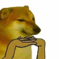 T/G