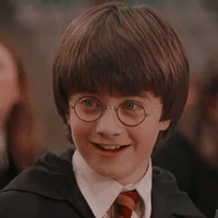 Harry Potter⚡