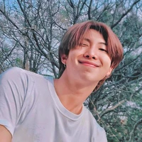 Kim NamJoon