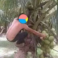 MTGPNTMN
