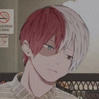 Todoroki Shouto