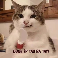 Tác giả