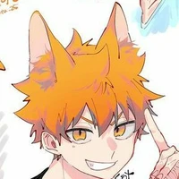 •Hinata Shouyo•