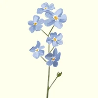 Thần thú của n9