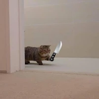 cả bọn
