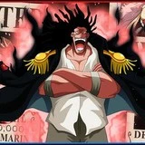 Rock D Xebec