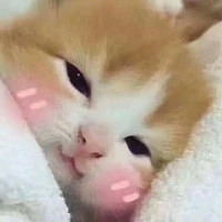 6 đứa bạn